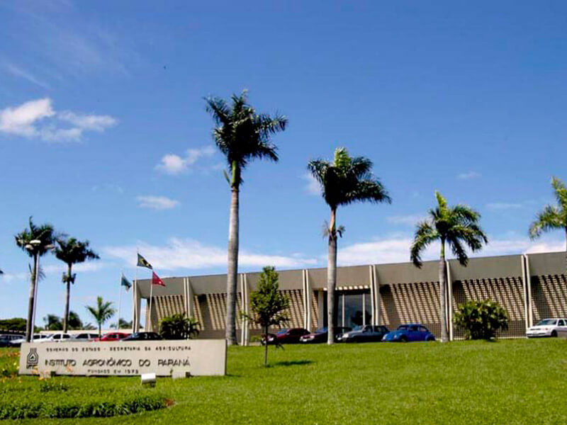 Instituto Agronômico do Paraná.